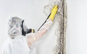 Best Residential Mold Inspection & Testing  in Wilkesboro, NC